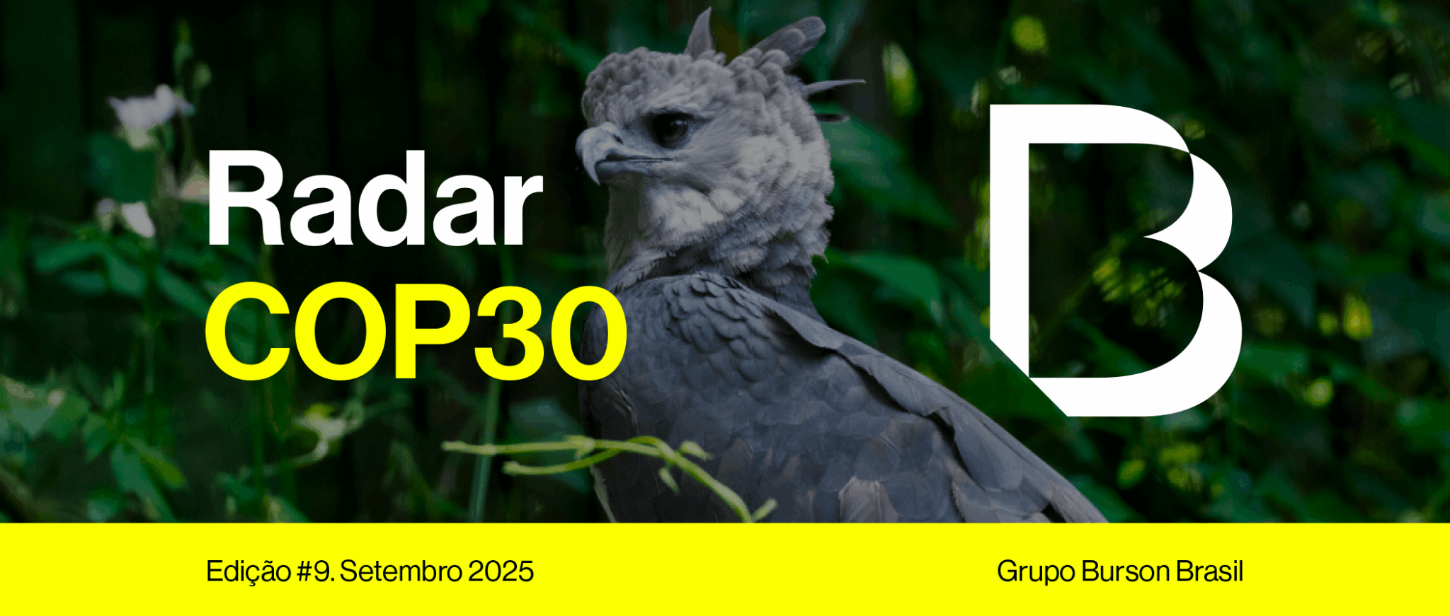 Radar COP 30 | Setembro 2025